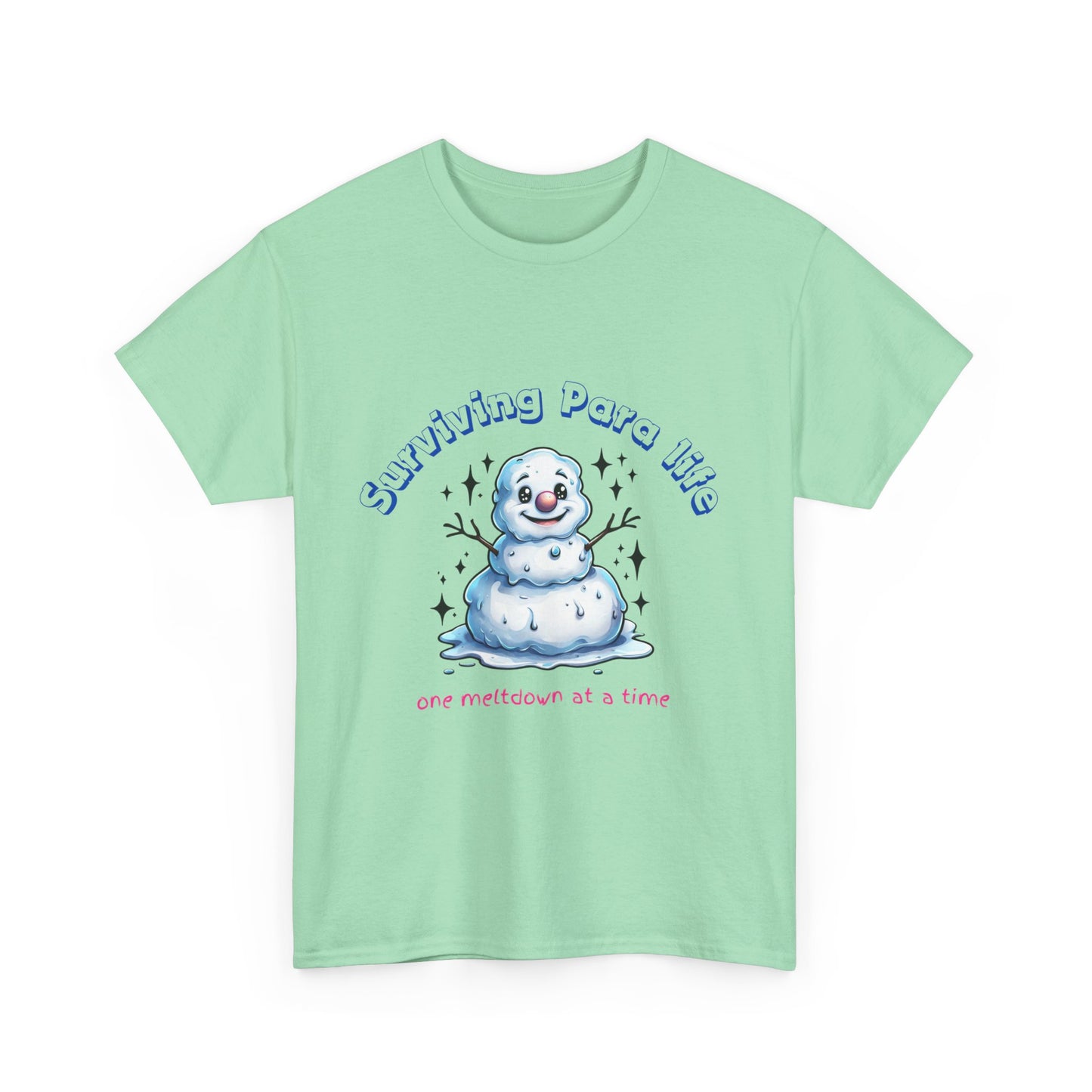 Paraprofessional Life Survival Unisex Tee, Teacher Assistant Tshirt, Support Staff Gift, School Parapro Shirt, Para Educator Apparel
