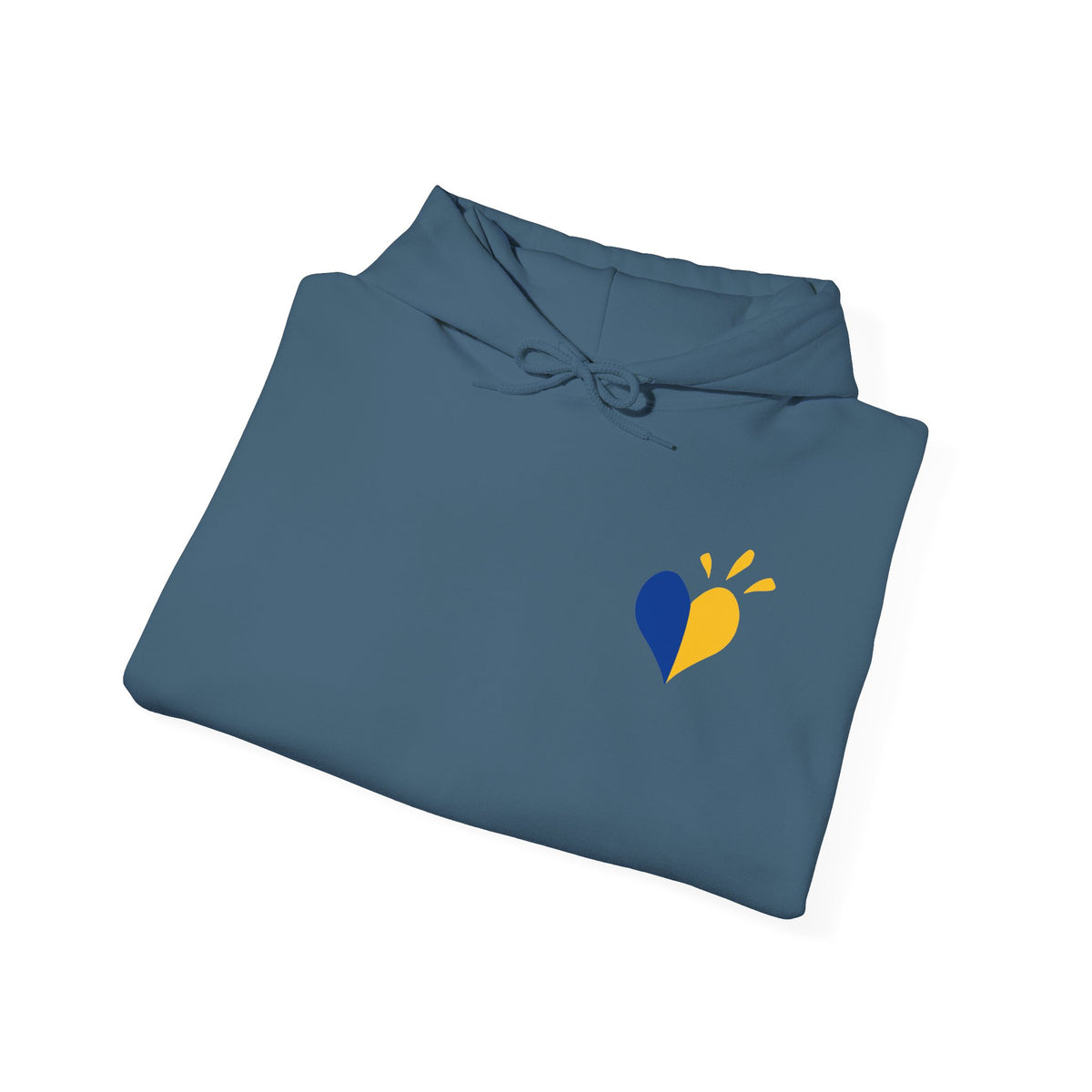Down Syndrome Awareness Hoodie — "My Kid Has More Chromosomes Than Your Kid"