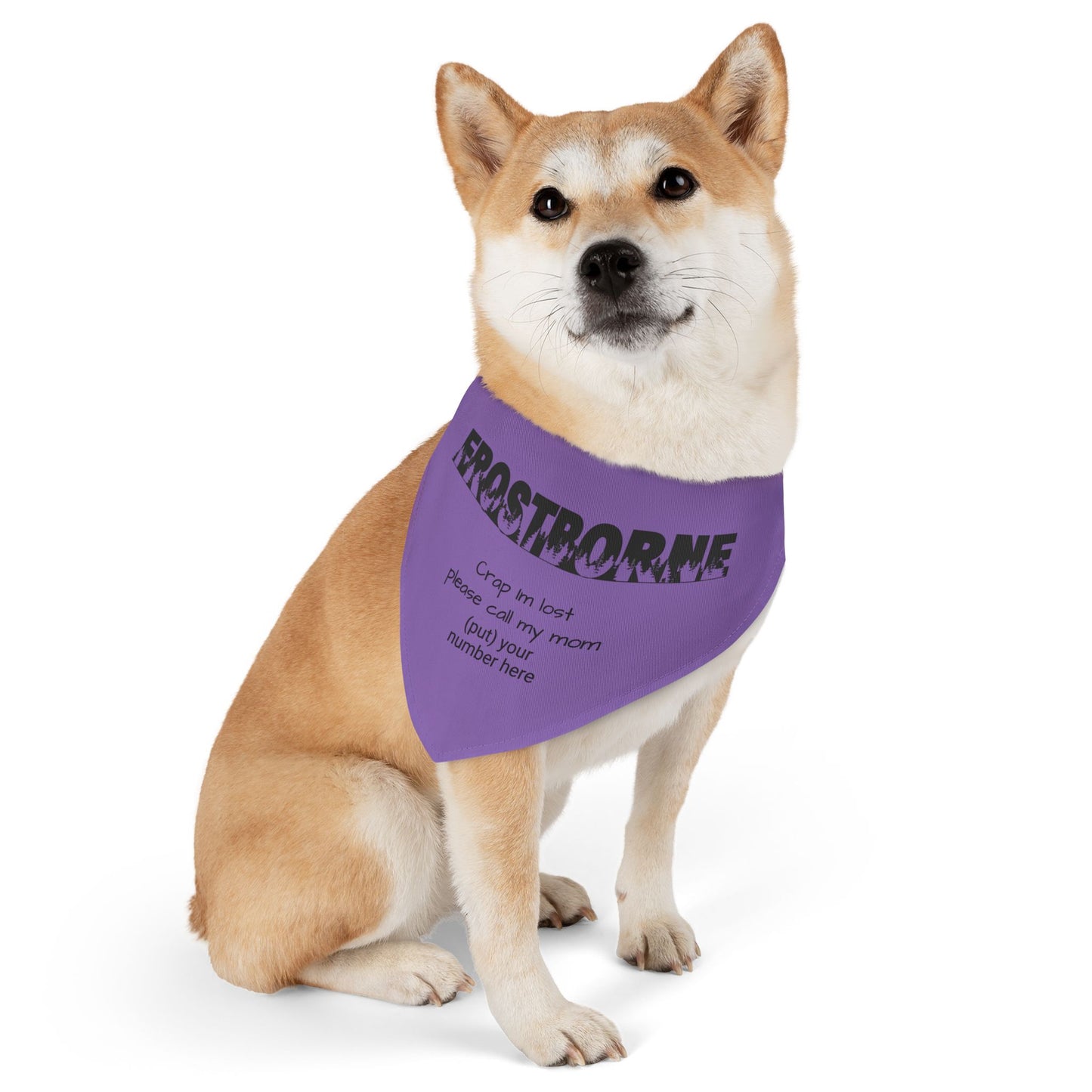 Crap I'm Lost pet bandana collar