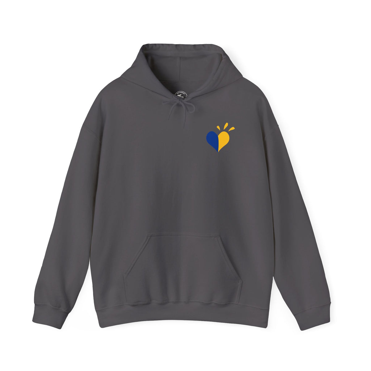 Down Syndrome Awareness Hoodie — "My Kid Has More Chromosomes Than Your Kid"