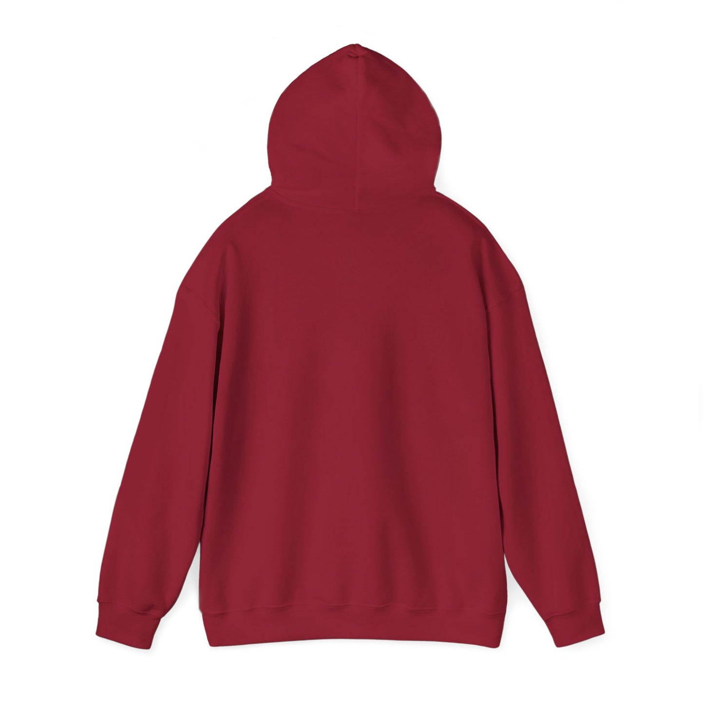 Always Cold Hoodie — Winter Snow Brr Pullover