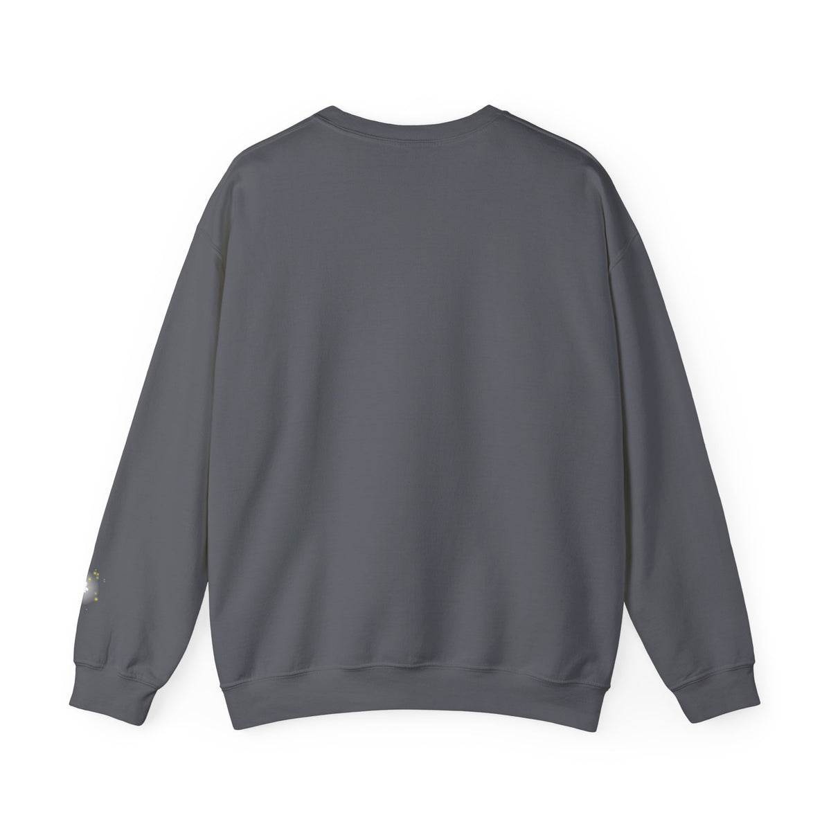 Inspirational Christian Sweatshirt — "If God Can Make a Bug's Butt" Crewneck
