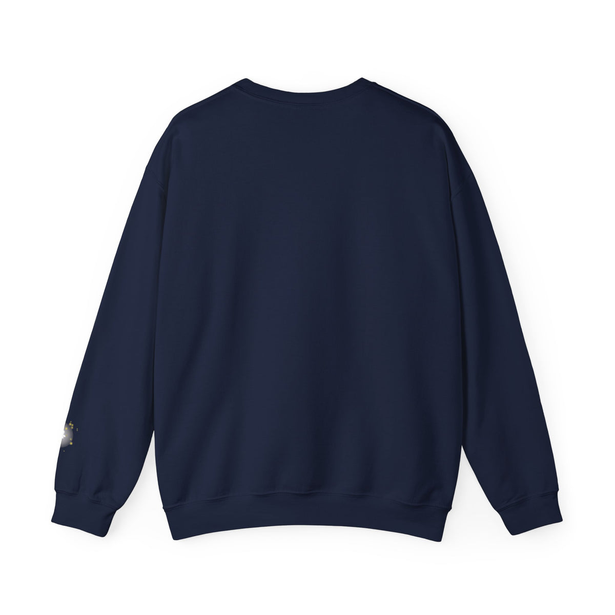 Inspirational Christian Sweatshirt — "If God Can Make a Bug's Butt" Crewneck
