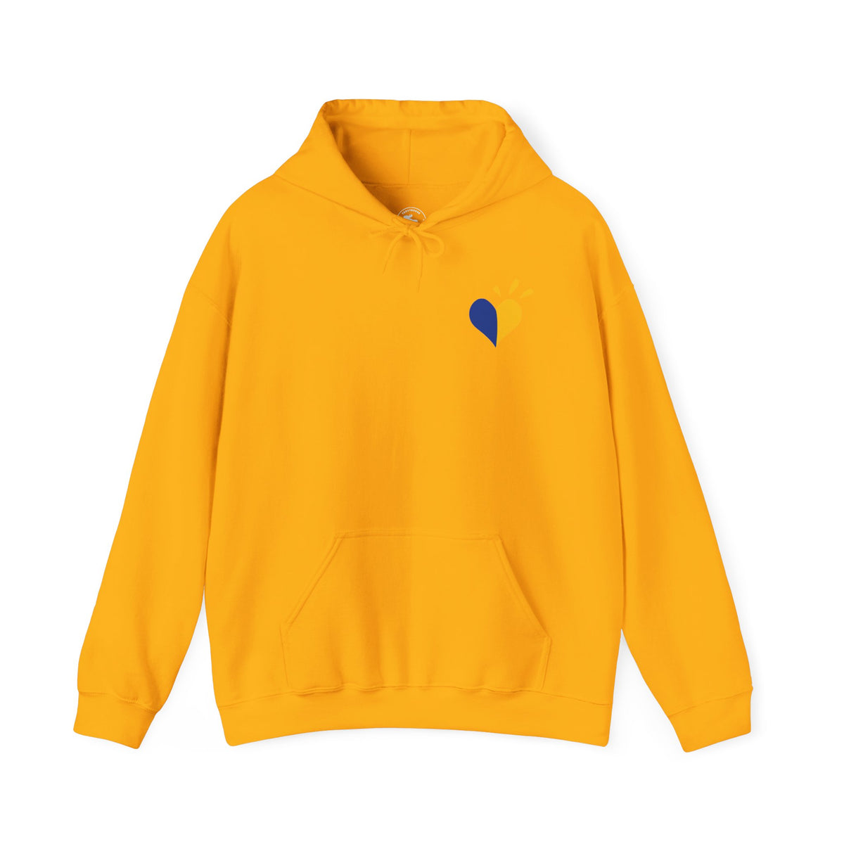 Down Syndrome Awareness Hoodie — "My Kid Has More Chromosomes Than Your Kid"