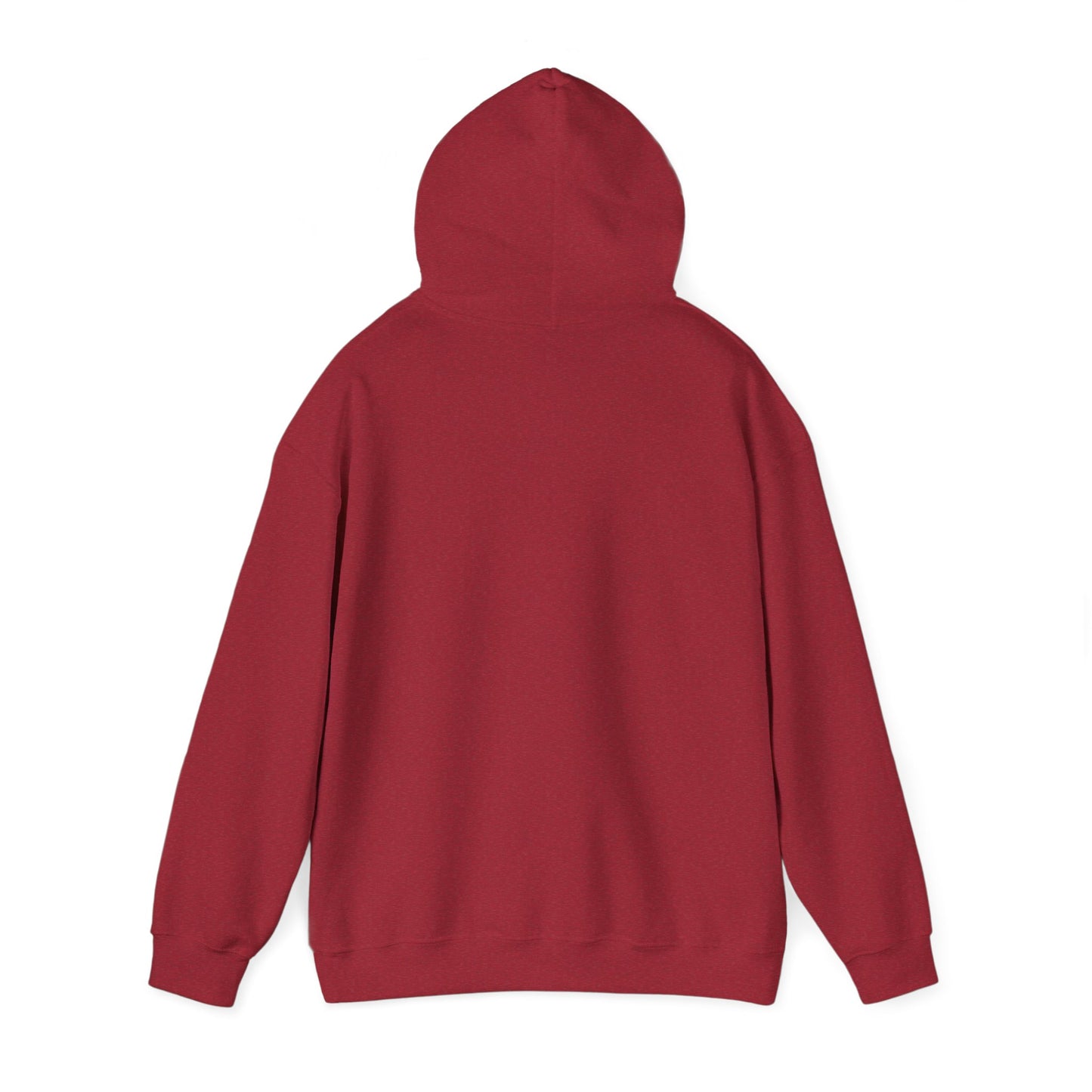 Always Cold Hoodie — Winter Snow Brr Pullover