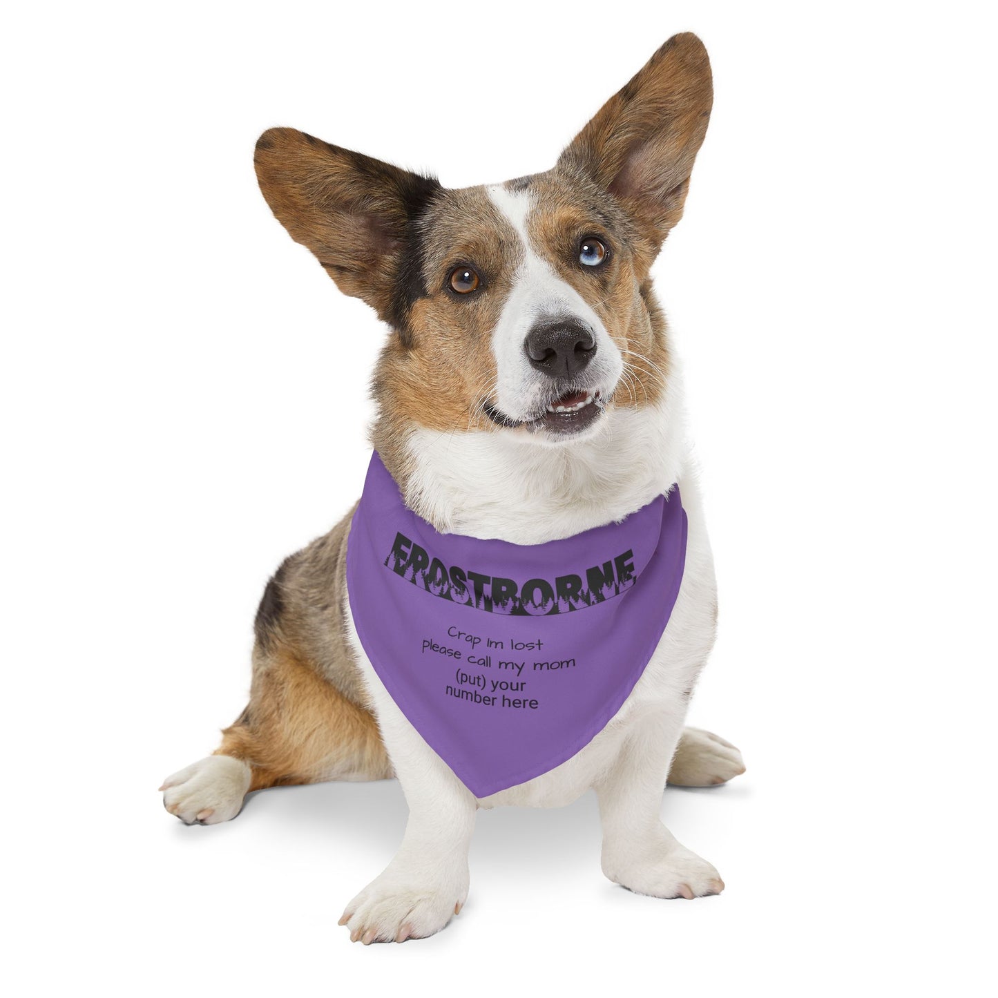 Crap I'm Lost pet bandana collar