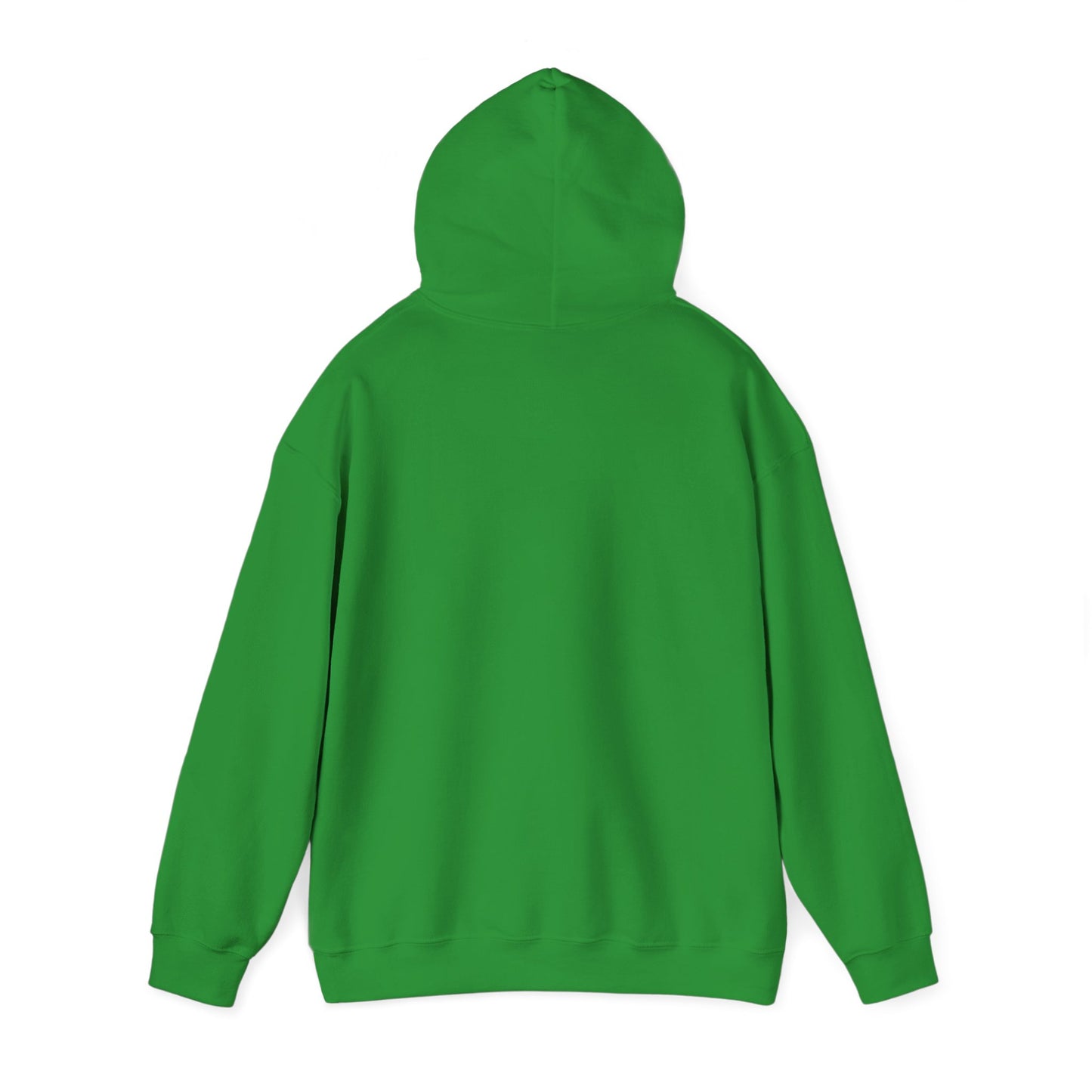 Dragonfly Inn Gilmore Girls Hoodie, Stars Hollow Gift, Lorelai Rory TV Show Sweatshirt, Pop Culture Fan Apparel, Cozy Mothers Daughters