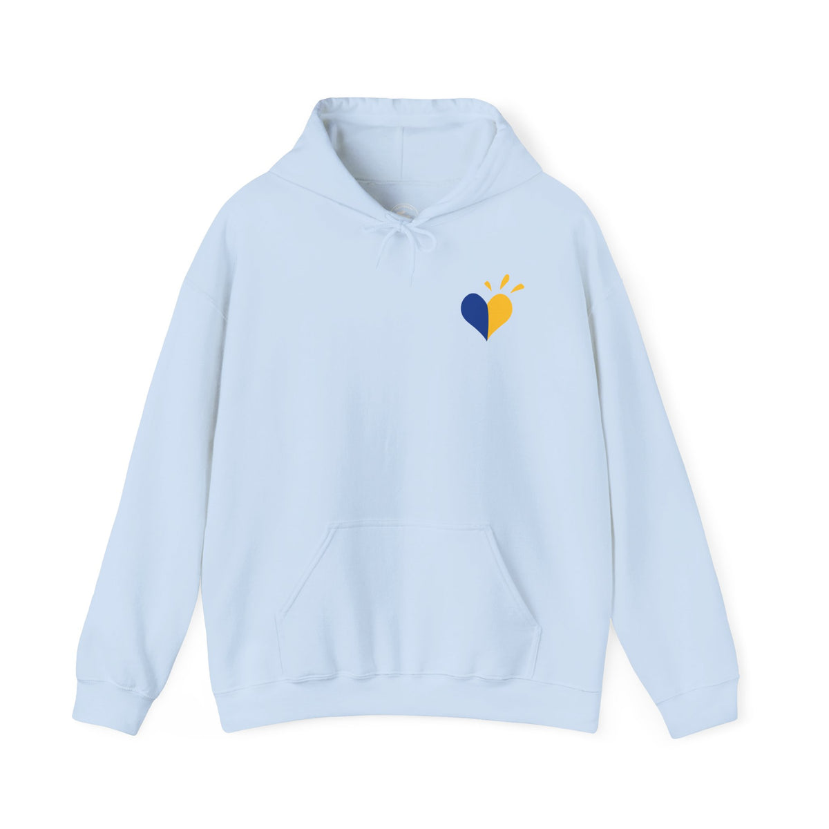 Down Syndrome Awareness Hoodie — "My Kid Has More Chromosomes Than Your Kid"