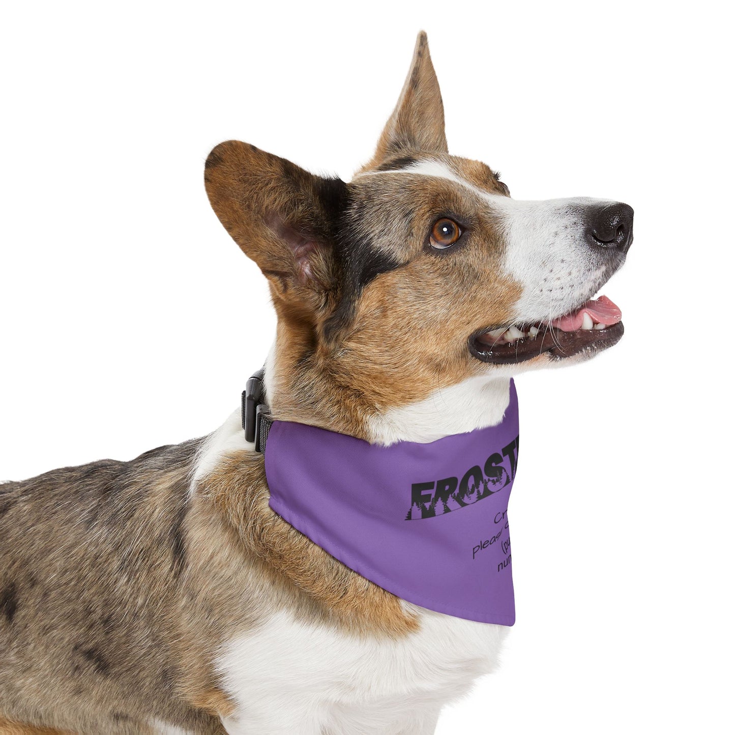 Crap I'm Lost pet bandana collar