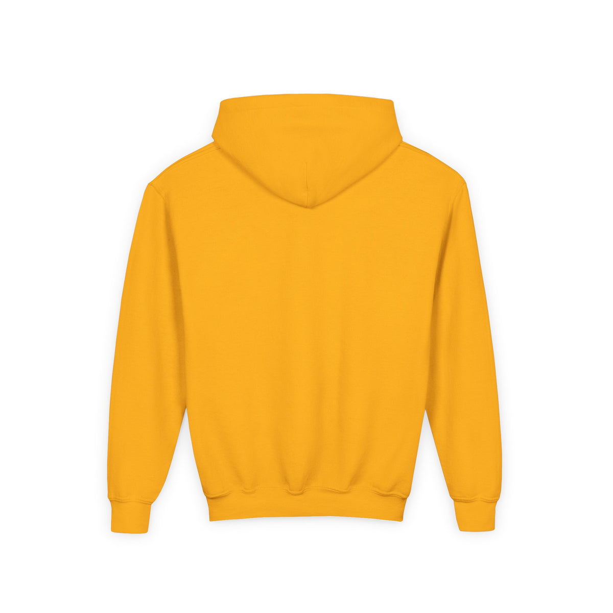 Youth Hoodie – "It's Leviosa Not LeviosA" Magical Quote Hooded Sweatshirt