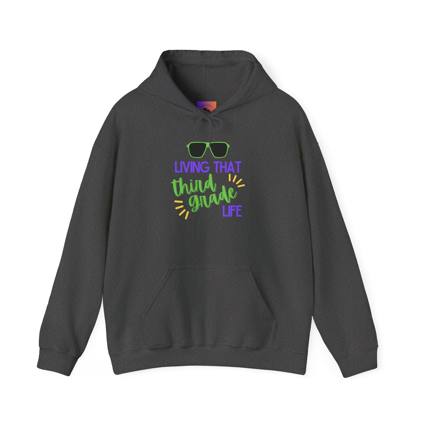 Living That Third Grade Life Hoodie - Perfect for Students, Graduation Gift, Cool Casual Wear, Back to School, Kids' Style
