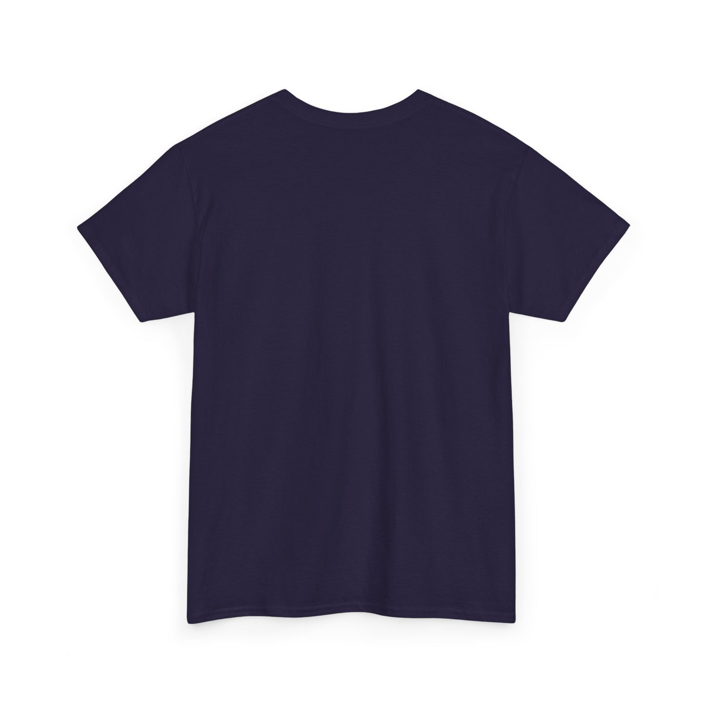 remembering pluto unisex tee