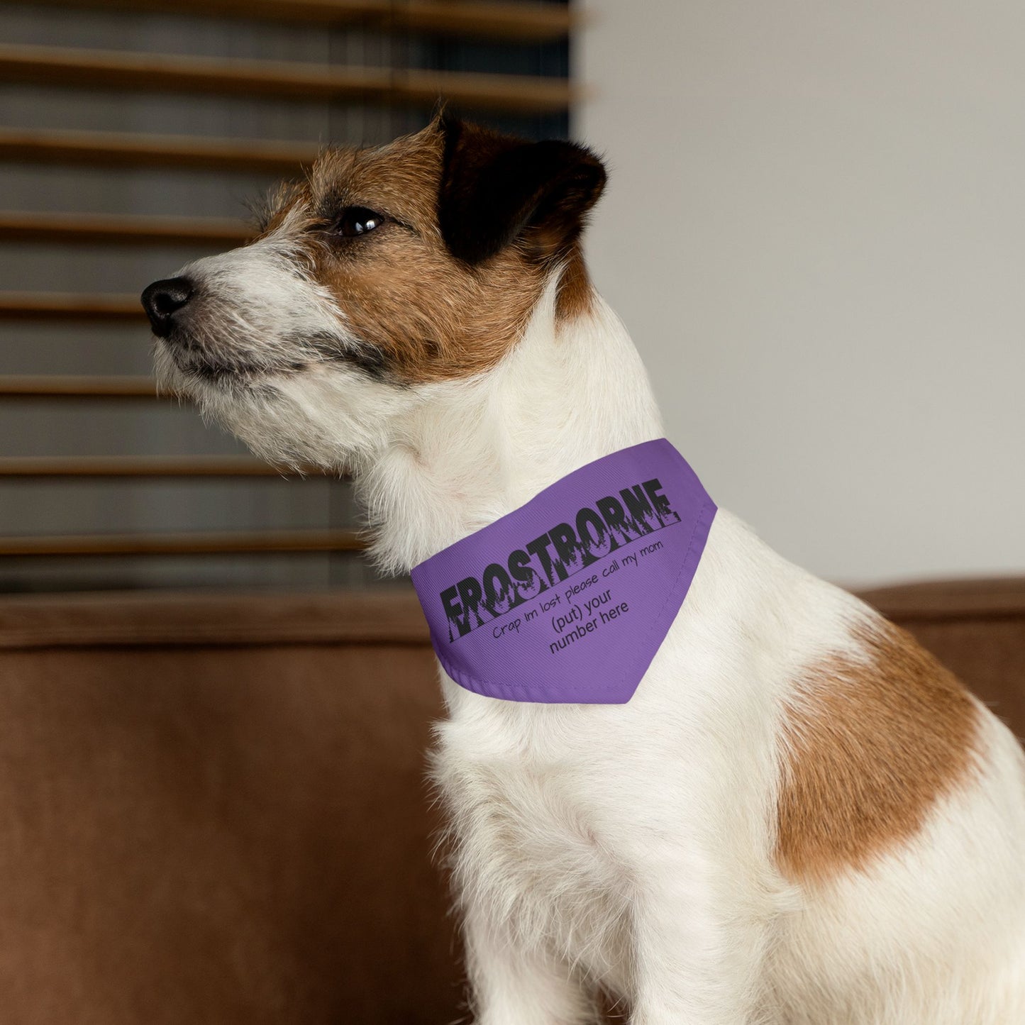 Crap I'm Lost pet bandana collar