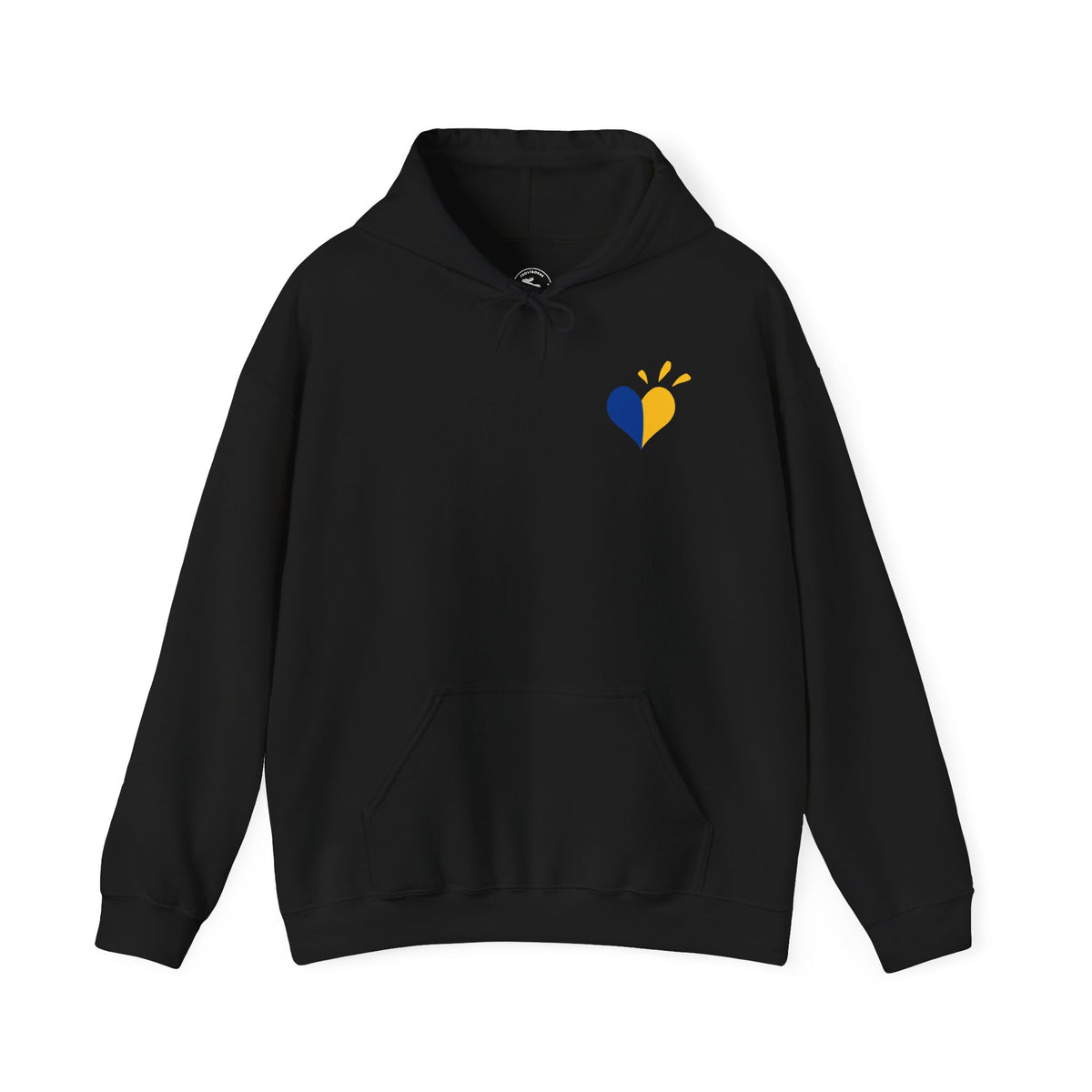 Down Syndrome Awareness Hoodie — "My Kid Has More Chromosomes Than Your Kid"