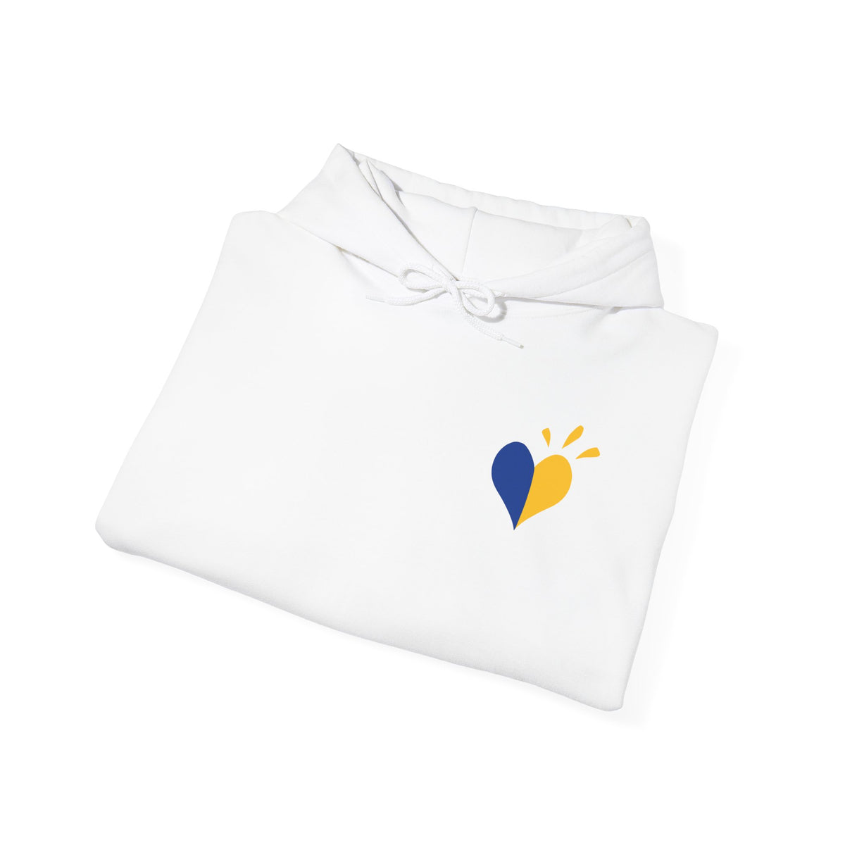 Down Syndrome Awareness Hoodie — "My Kid Has More Chromosomes Than Your Kid"