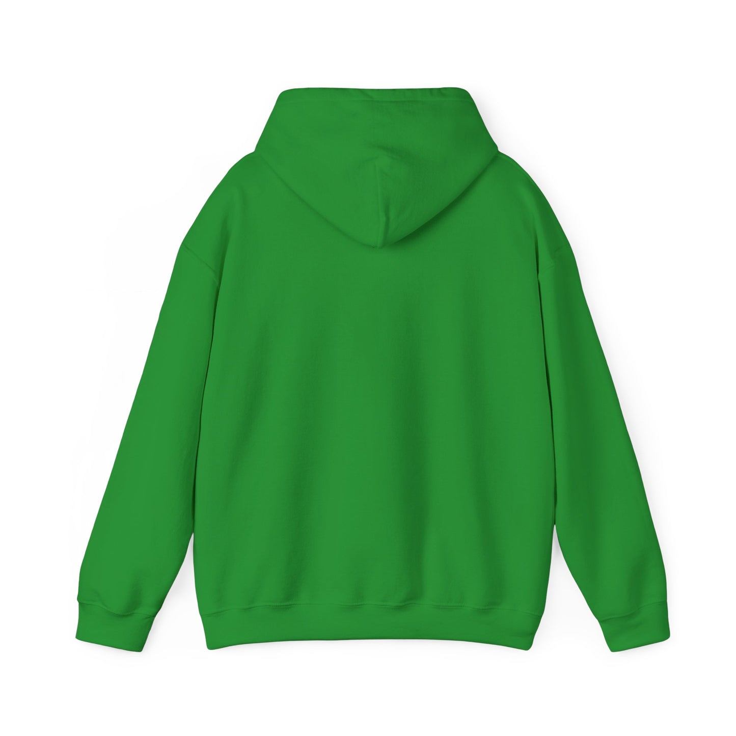 Dragonfly Inn Gilmore Girls Hoodie, Stars Hollow Gift, Lorelai Rory TV Show Sweatshirt, Pop Culture Fan Apparel, Cozy Mothers Daughters