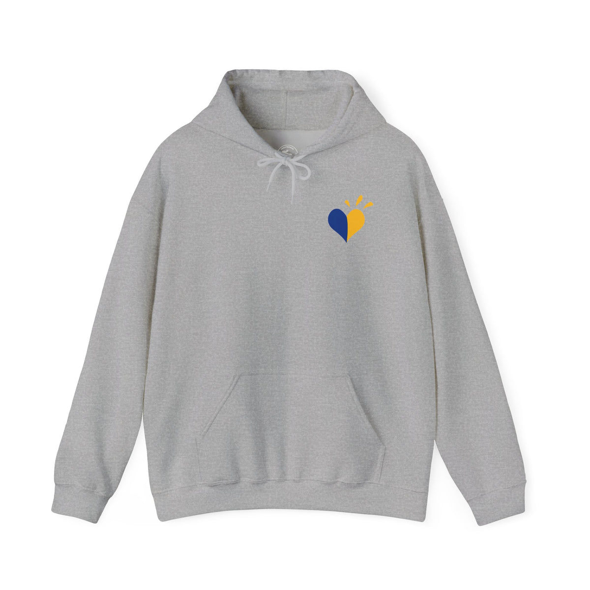 Down Syndrome Awareness Hoodie — "My Kid Has More Chromosomes Than Your Kid"