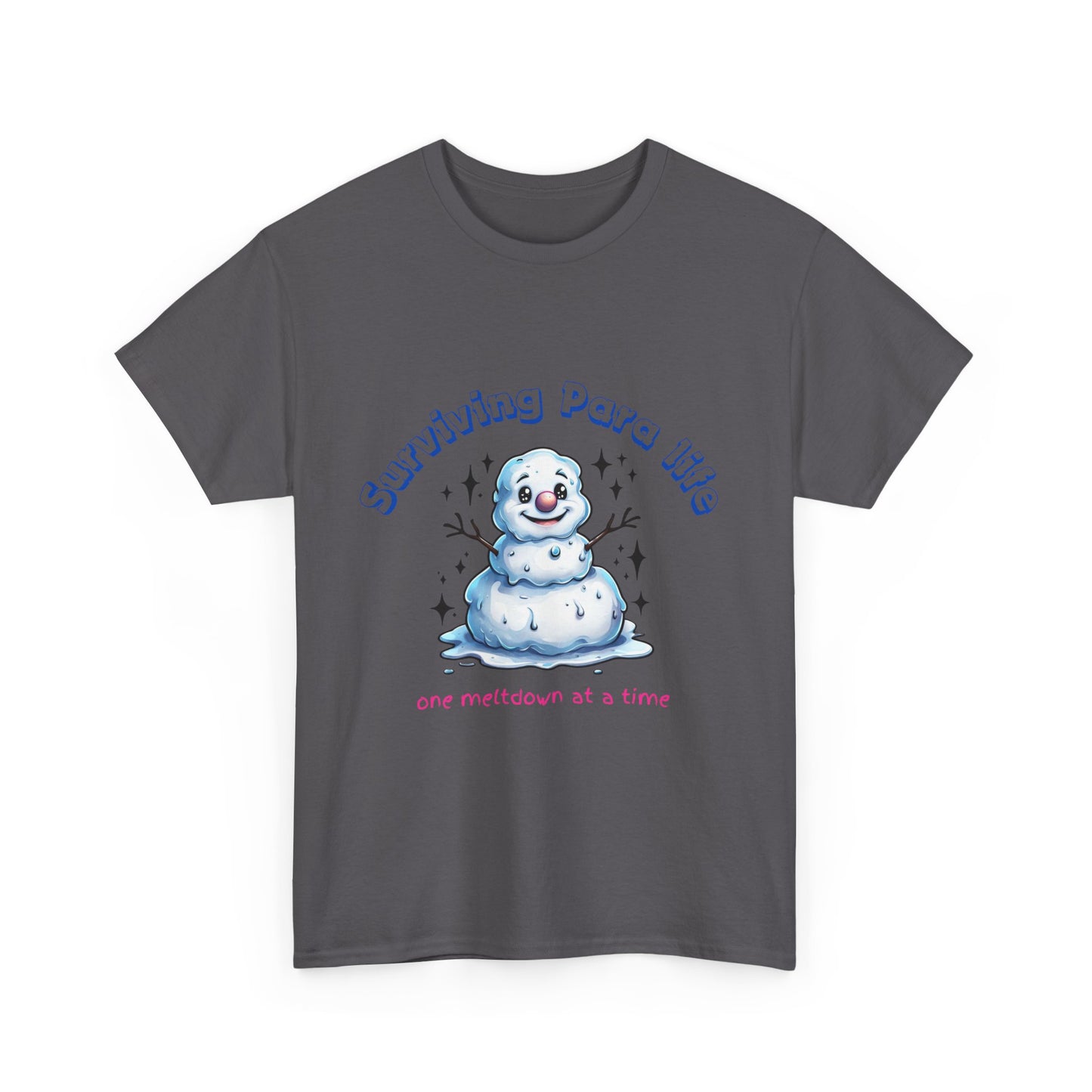 Paraprofessional Life Survival Unisex Tee, Teacher Assistant Tshirt, Support Staff Gift, School Parapro Shirt, Para Educator Apparel