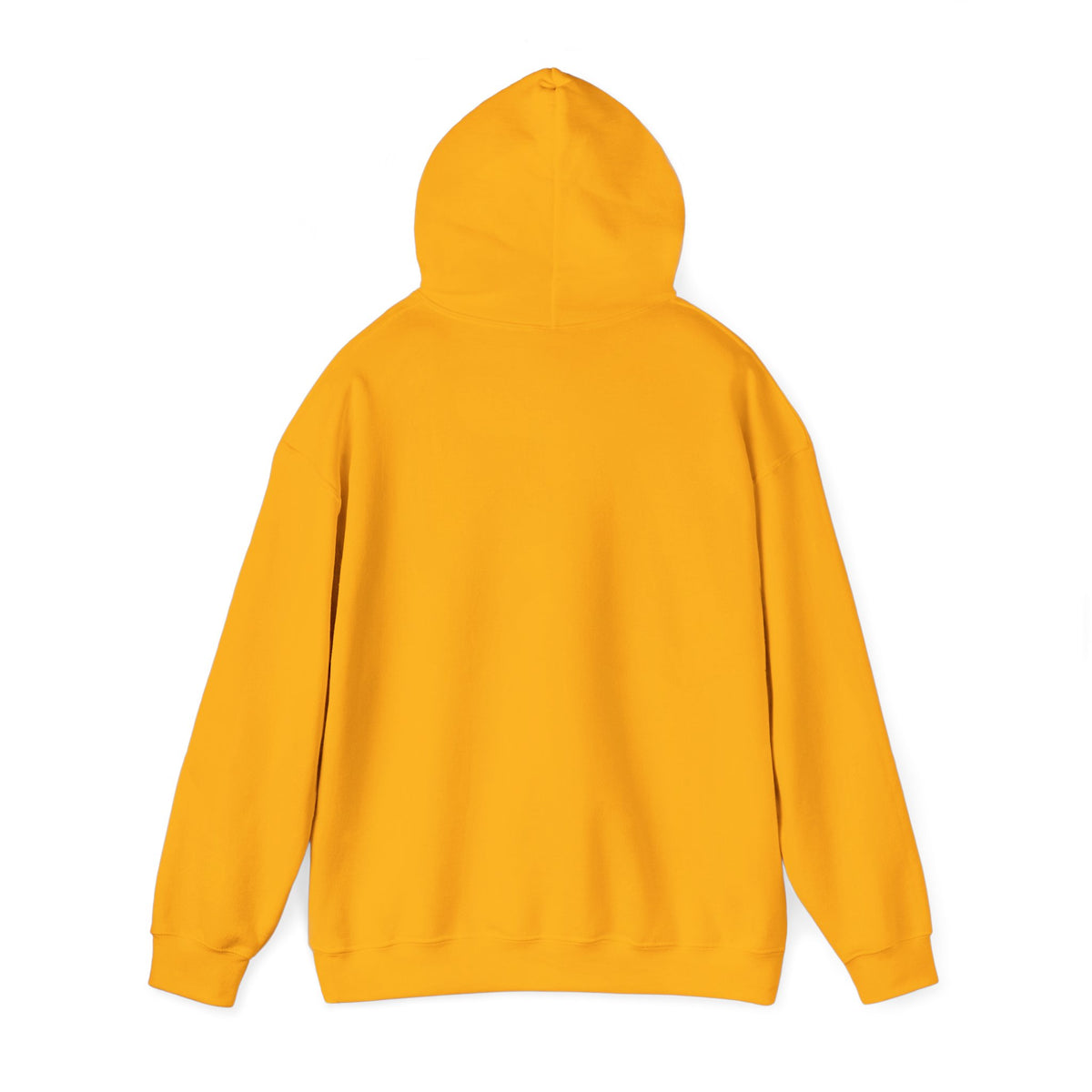 Salt & Light Christian Hoodie – Beach Van Sunset Pullover (Matthew 5:14)