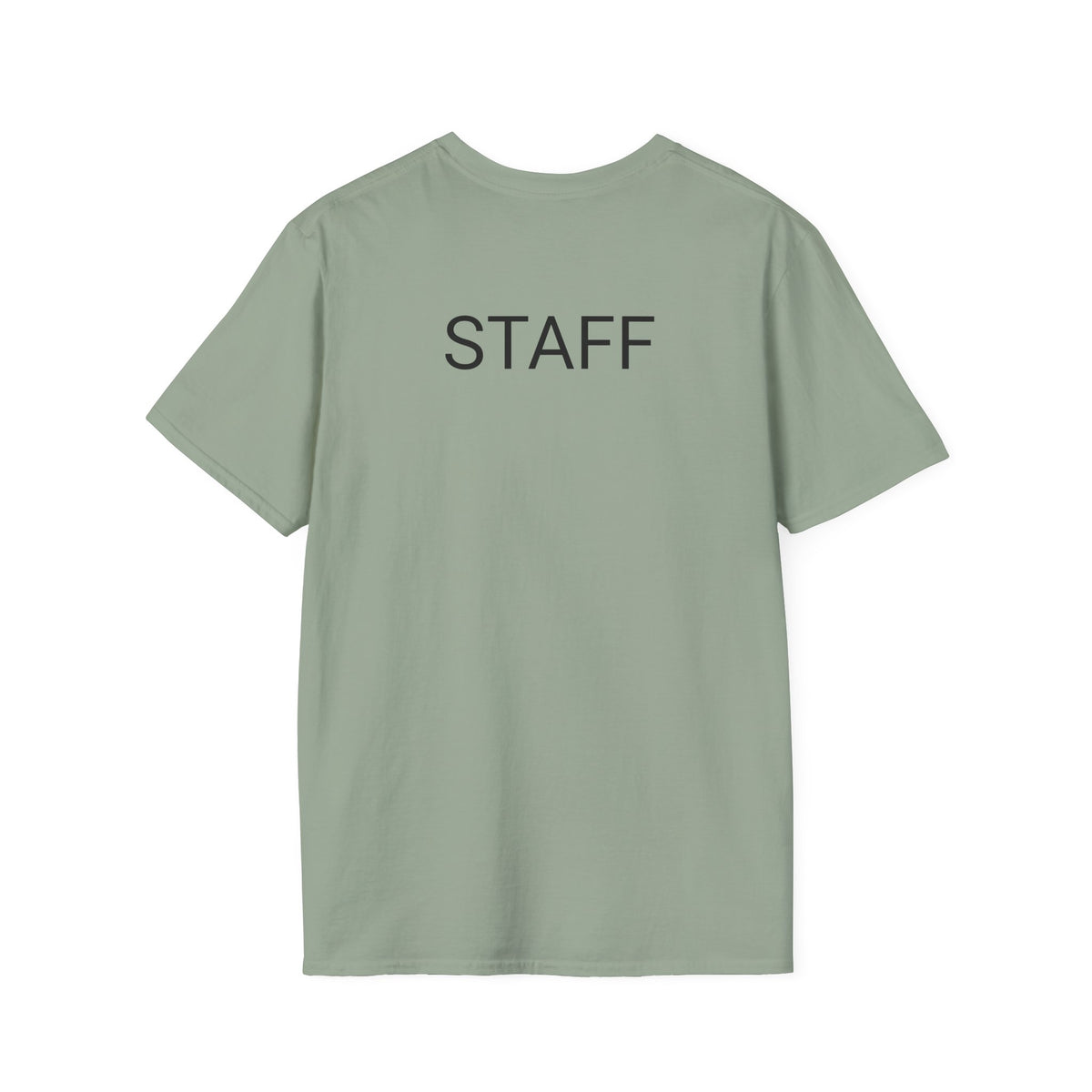 Aloe There! Unisex Softstyle T-Shirt, Funny Plant Tee, Gift for Plant Lovers, Casual Wear, Cute Eco-Friendly Apparel, group shirt, matching, for friends 1 of 6