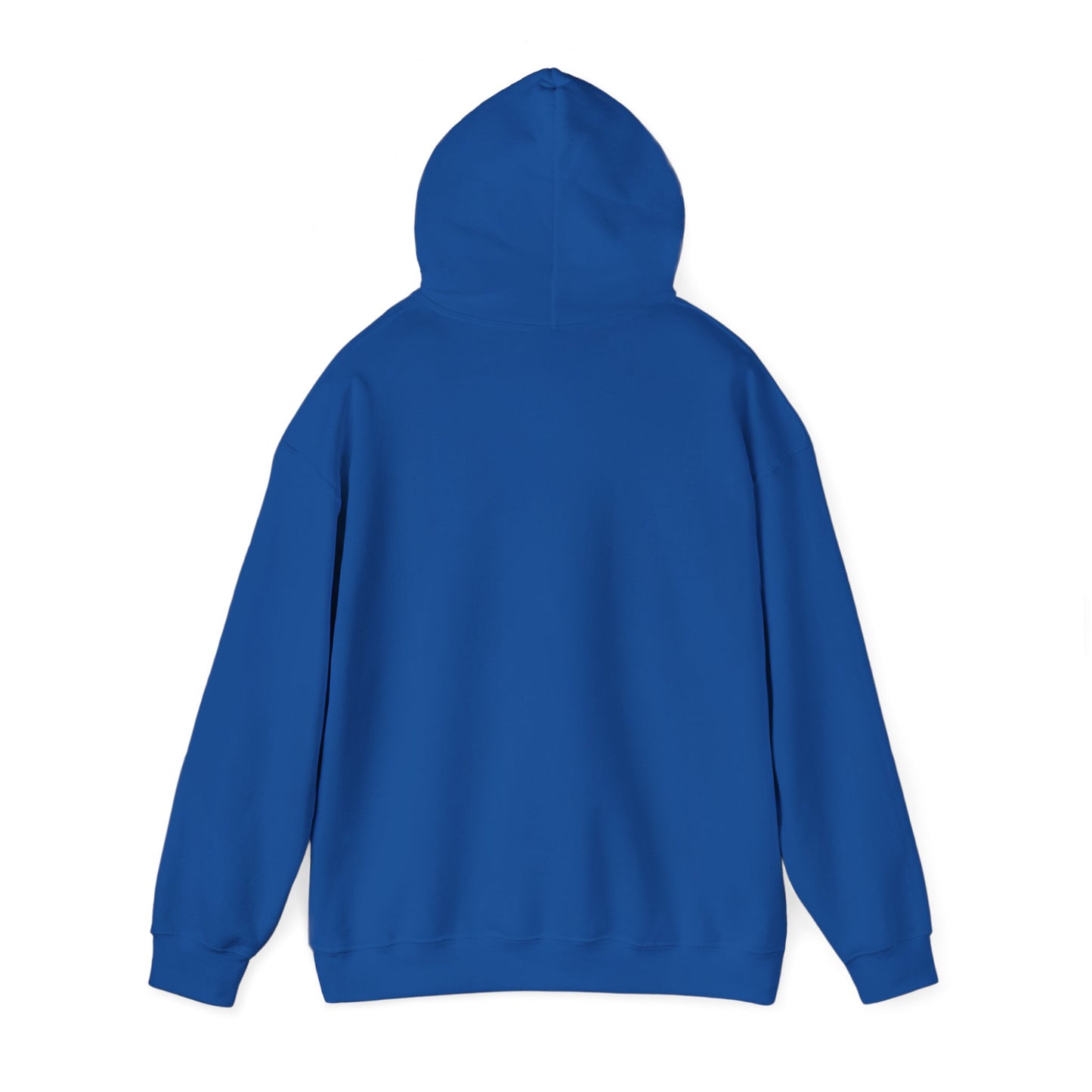 Always Cold Hoodie — Winter Snow Brr Pullover