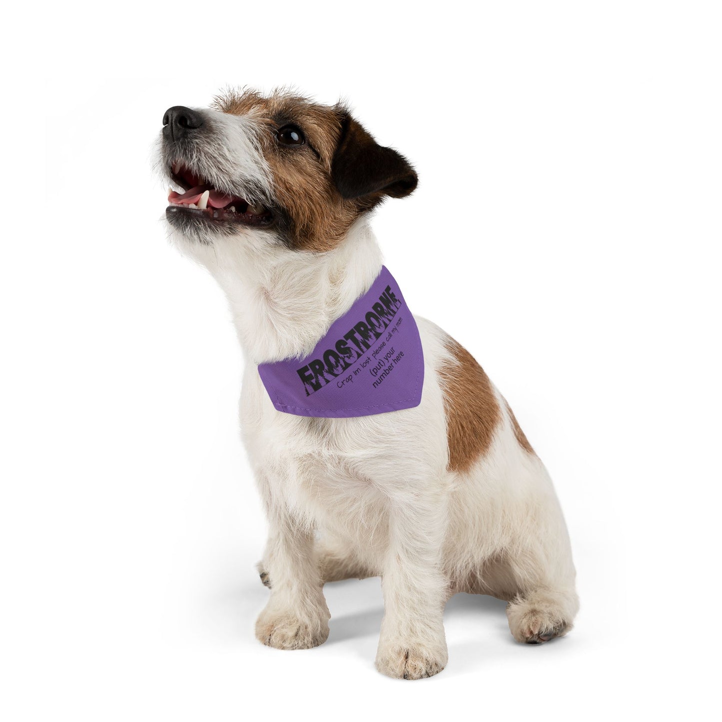 Crap I'm Lost pet bandana collar