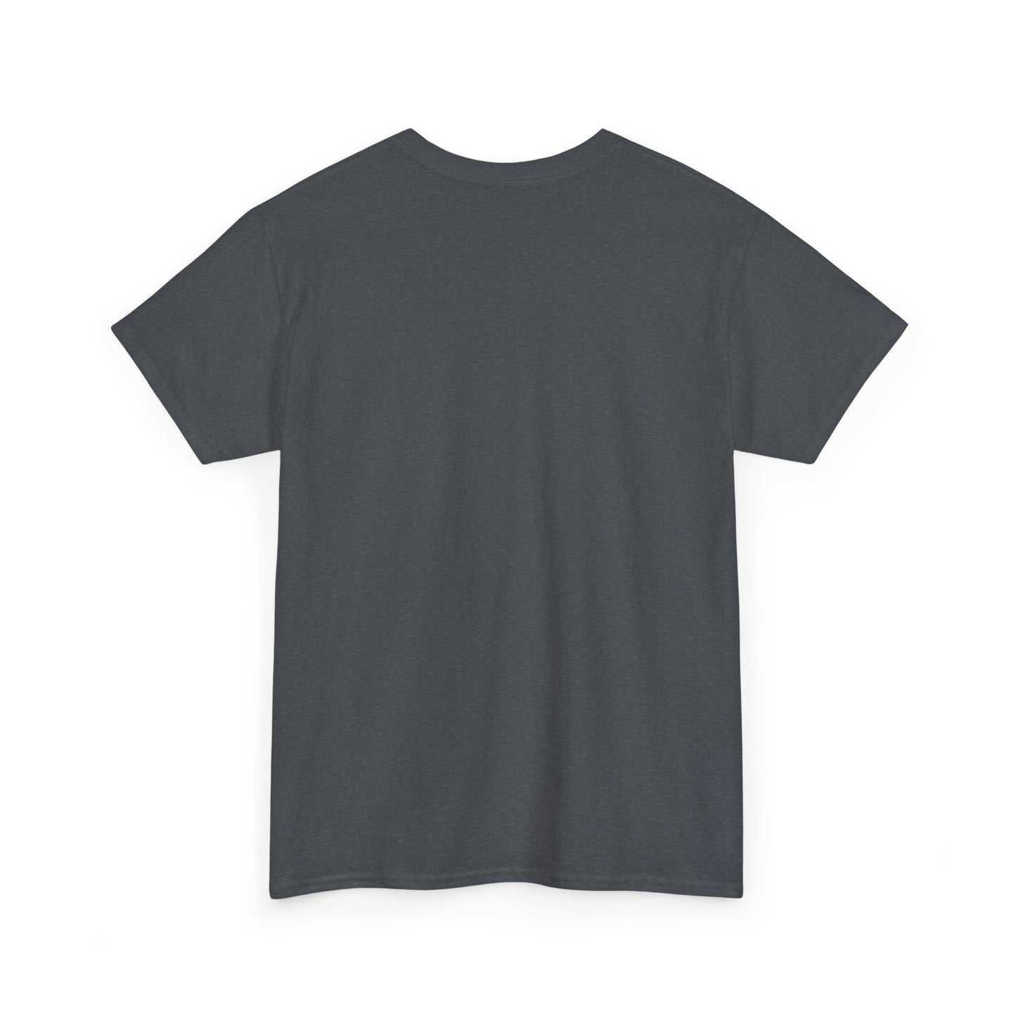 remembering pluto unisex tee