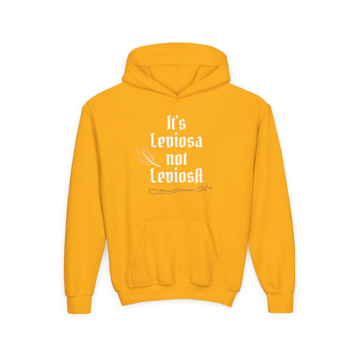 Youth Hoodie – "It's Leviosa Not LeviosA" Magical Quote Hooded Sweatshirt