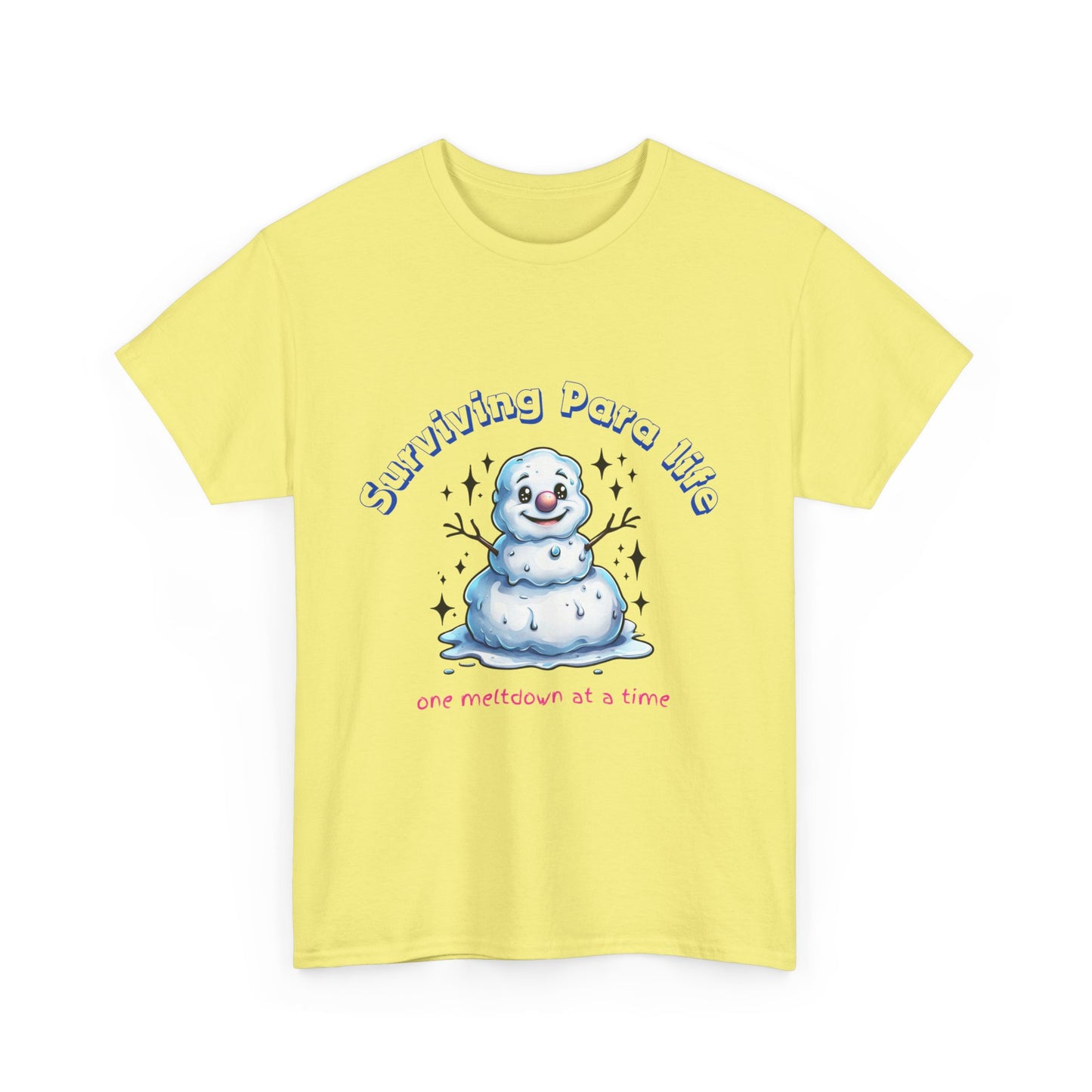 Paraprofessional Life Survival Unisex Tee, Teacher Assistant Tshirt, Support Staff Gift, School Parapro Shirt, Para Educator Apparel