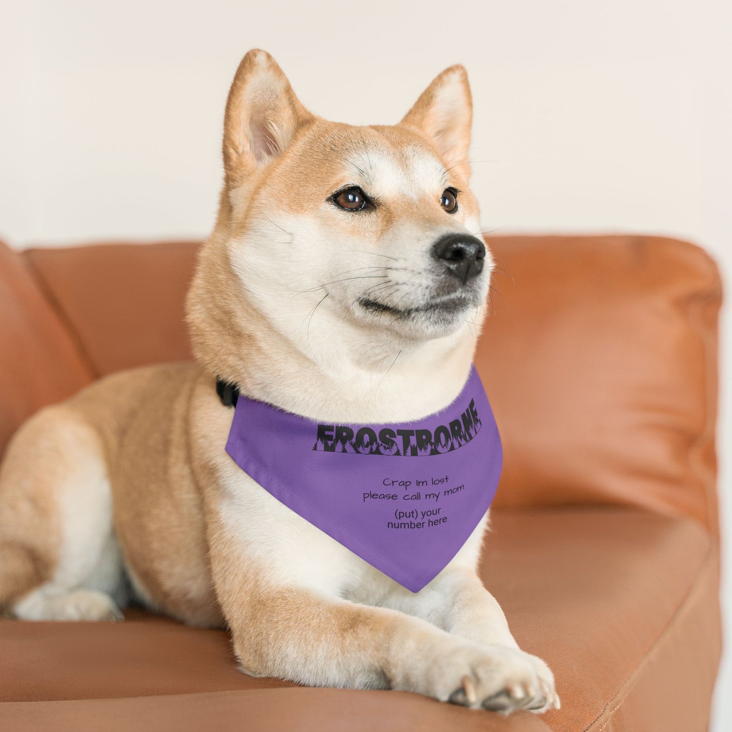 Crap I'm Lost pet bandana collar