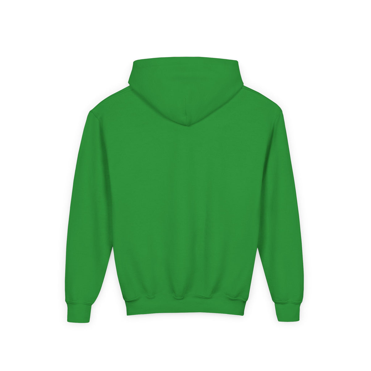 Youth Hoodie – "It's Leviosa Not LeviosA" Magical Quote Hooded Sweatshirt