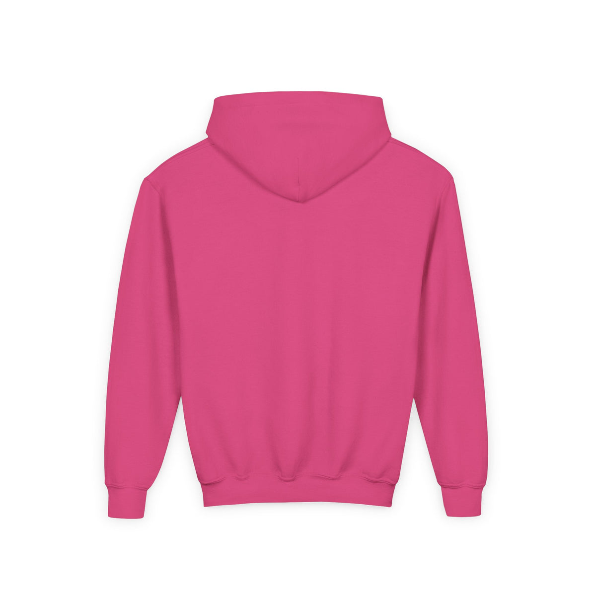 Youth Hoodie – "It's Leviosa Not LeviosA" Magical Quote Hooded Sweatshirt