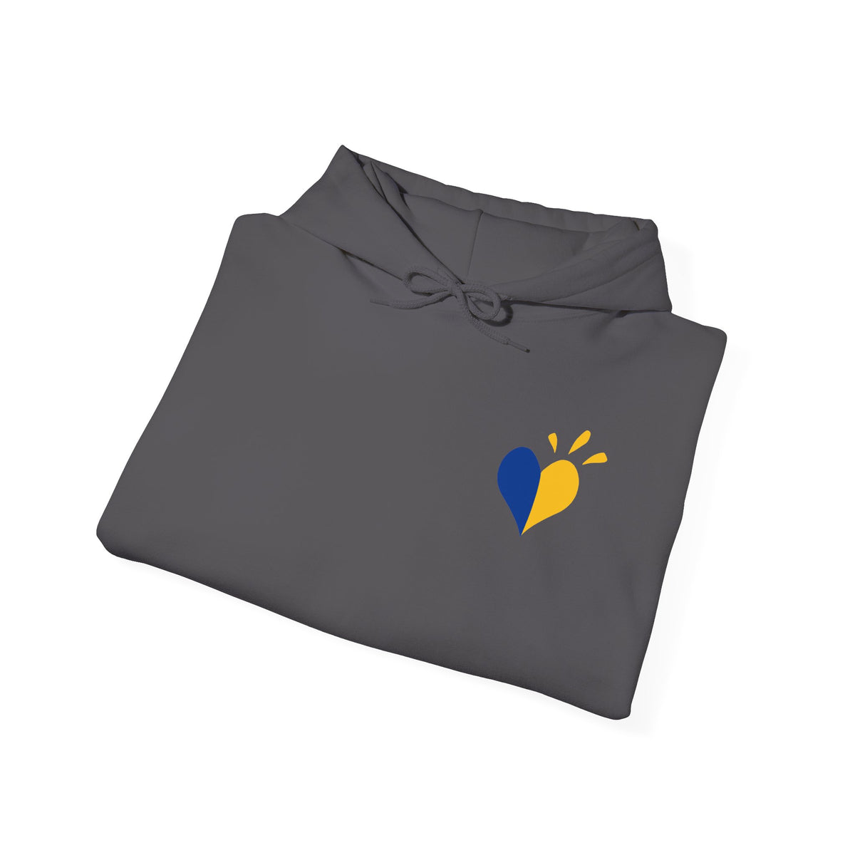 Down Syndrome Awareness Hoodie — "My Kid Has More Chromosomes Than Your Kid"