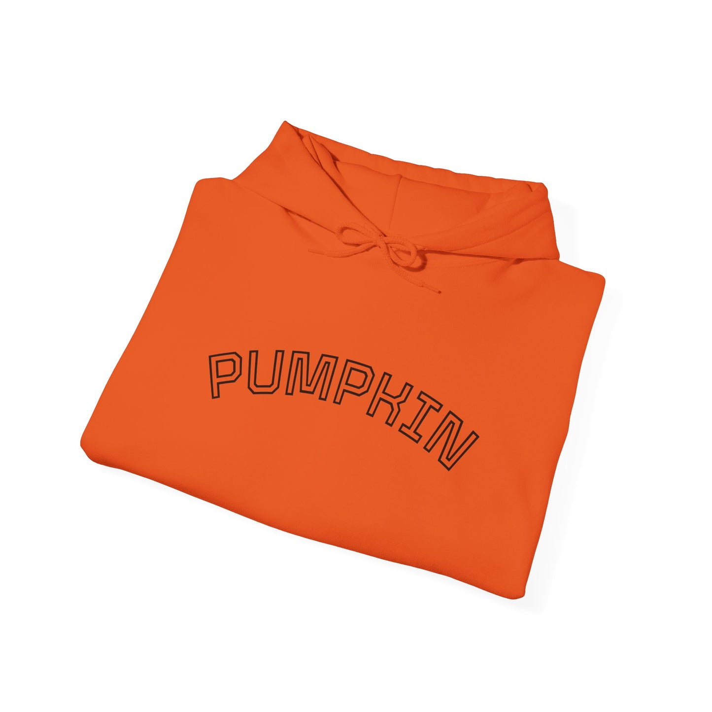 Pumpkin Spice Fall Matching Hoodie Set for Mommy and Me