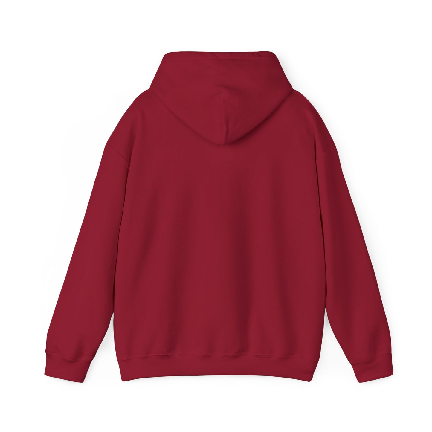 Always Cold Hoodie — Winter Snow Brr Pullover