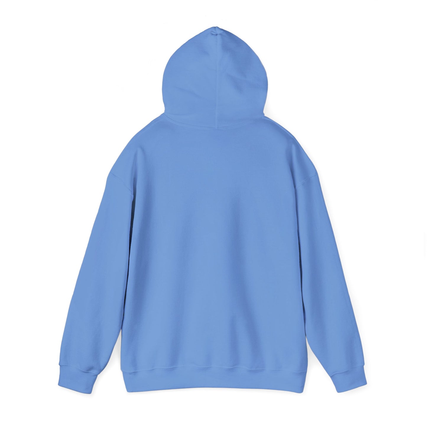 Dragonfly Inn Gilmore Girls Hoodie, Stars Hollow Gift, Lorelai Rory TV Show Sweatshirt, Pop Culture Fan Apparel, Cozy Mothers Daughters
