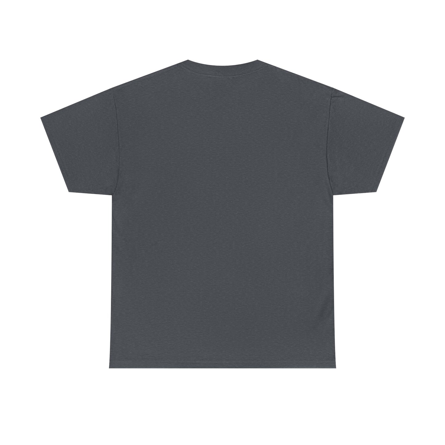 remembering pluto unisex tee
